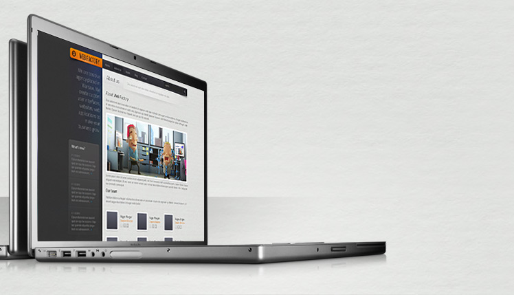 Individual Web Designer